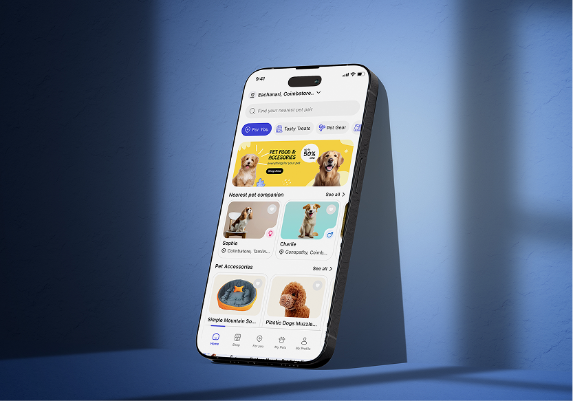 UI/UX design project